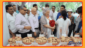 International Potato Center india