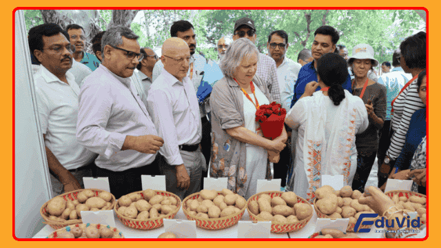 International Potato Center india